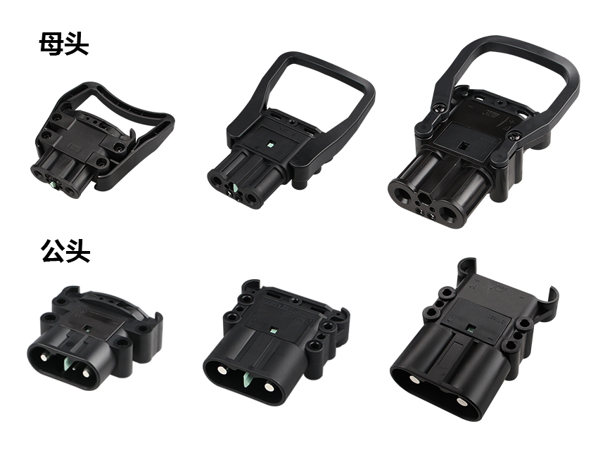 如何分辨公母_01.jpg 如何分辨公母_01.jpg