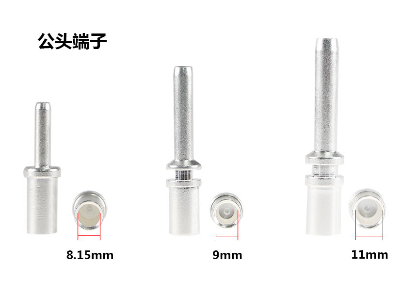 如何分辨公母_04.jpg 如何分辨公母_04.jpg